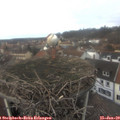 13_15-nest.jpg