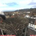 13_30-nest.jpg