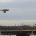 13_35-mast.jpg