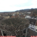 13_35-nest.jpg