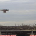 13_40-mast.jpg