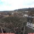 13_40-nest.jpg