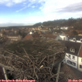 13_45-nest.jpg