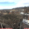 13_50-nest.jpg