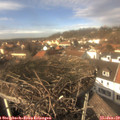 13_55-nest.jpg