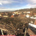 14_00-nest.jpg
