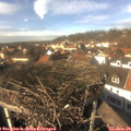 14_05-nest.jpg