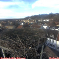 14_10-nest.jpg