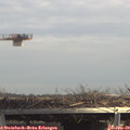 14_15-mast.jpg