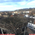 14_15-nest.jpg