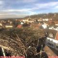 14_20-nest.jpg