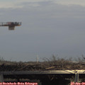 14_25-mast.jpg