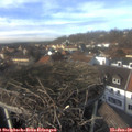 14_25-nest.jpg