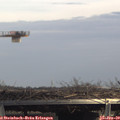 14_30-mast.jpg