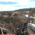 14_30-nest.jpg