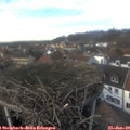 14_35-nest.jpg