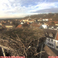 14_45-nest.jpg