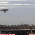 14_50-mast.jpg