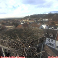 14_55-nest.jpg