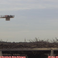 15_00-mast.jpg