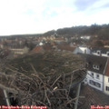 15_00-nest.jpg