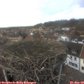 15_05-nest.jpg