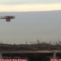 15_10-mast.jpg