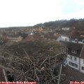 15_10-nest.jpg