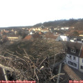 15_15-nest.jpg