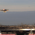 15_20-mast.jpg