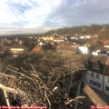 15_20-nest.jpg