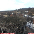 15_25-nest.jpg