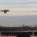 15_30-mast.jpg