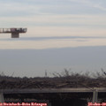 15_35-mast.jpg