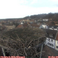 15_35-nest.jpg
