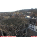 16_10-nest.jpg