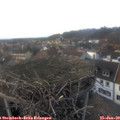 16_15-nest.jpg
