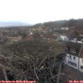 16_35-nest.jpg