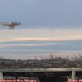 16_40-mast.jpg