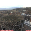16_45-nest.jpg