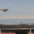 16_50-mast.jpg