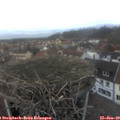 16_55-nest.jpg