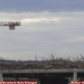 08_25-mast.jpg
