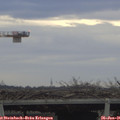 08_30-mast.jpg