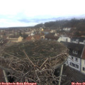 08_45-nest.jpg
