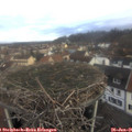 08_50-nest.jpg