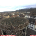 08_55-nest.jpg