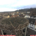 09_00-nest.jpg