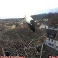 09_10-nest.jpg
