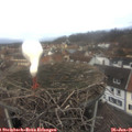 09_25-nest.jpg